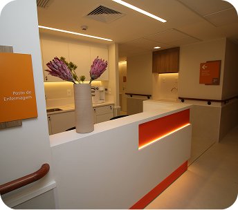 carrossel-7.jpg